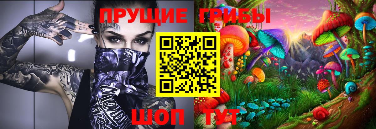 Псилоцибиновые грибы мицелий  магазин    Знаменск  Вход с VPN 